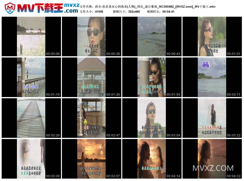 佚名-你是我真心的执着(人物)_国语_流行歌曲_MC300482